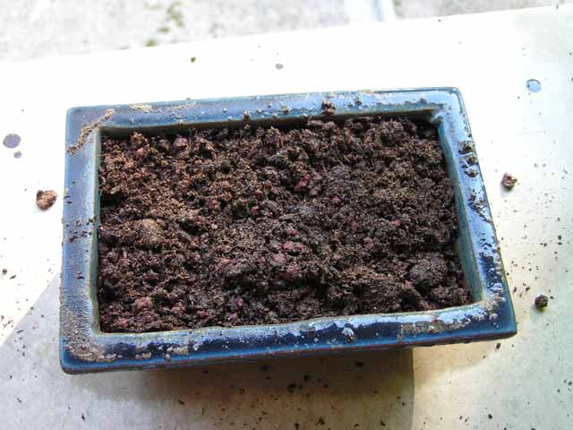 Remplir le pot de terre