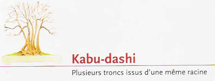 Kabu-dashi