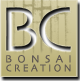 Logo Bonsaï Création