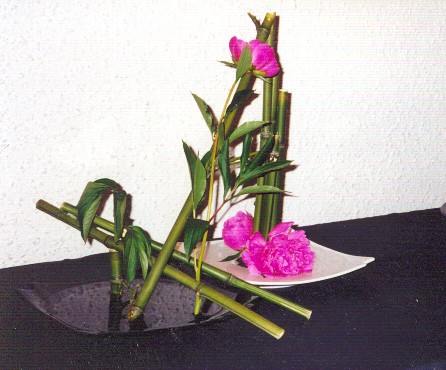 Photo du bonsaï : Composition florale