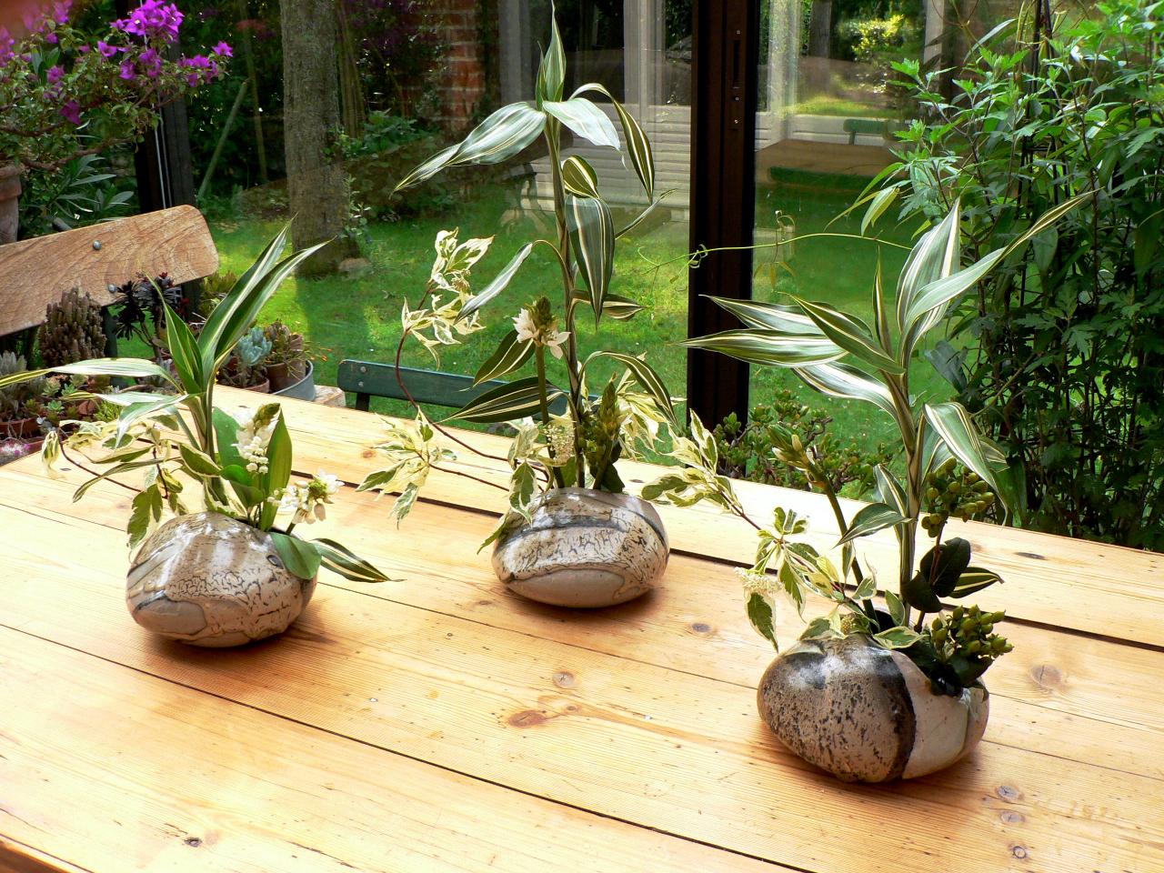 Photo du bonsaï : style en ligne dans des galets