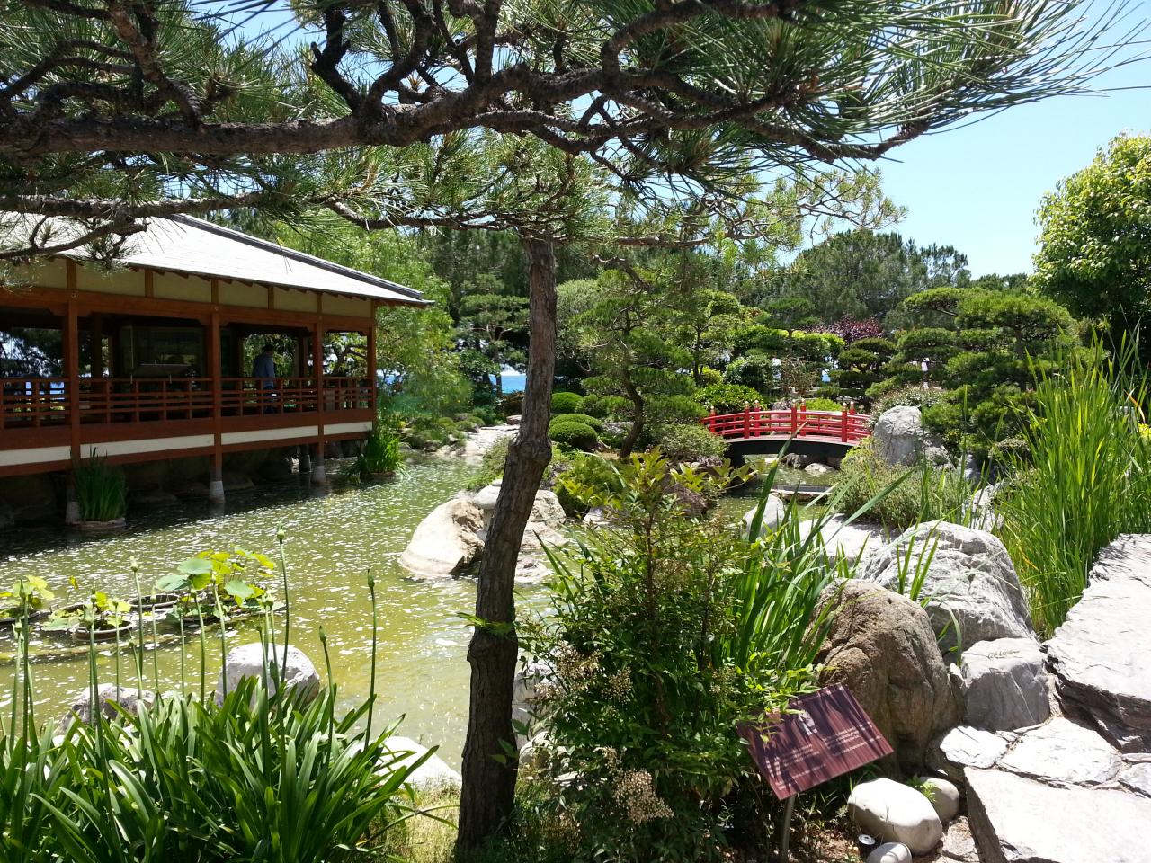 Photo du bonsaï : Bassin japonnais
