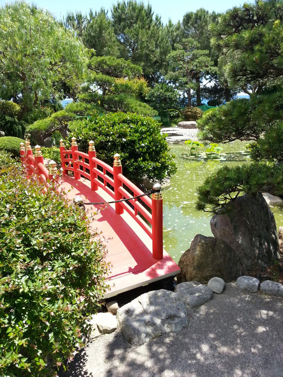 Photo du bonsaï : Pont japonnais