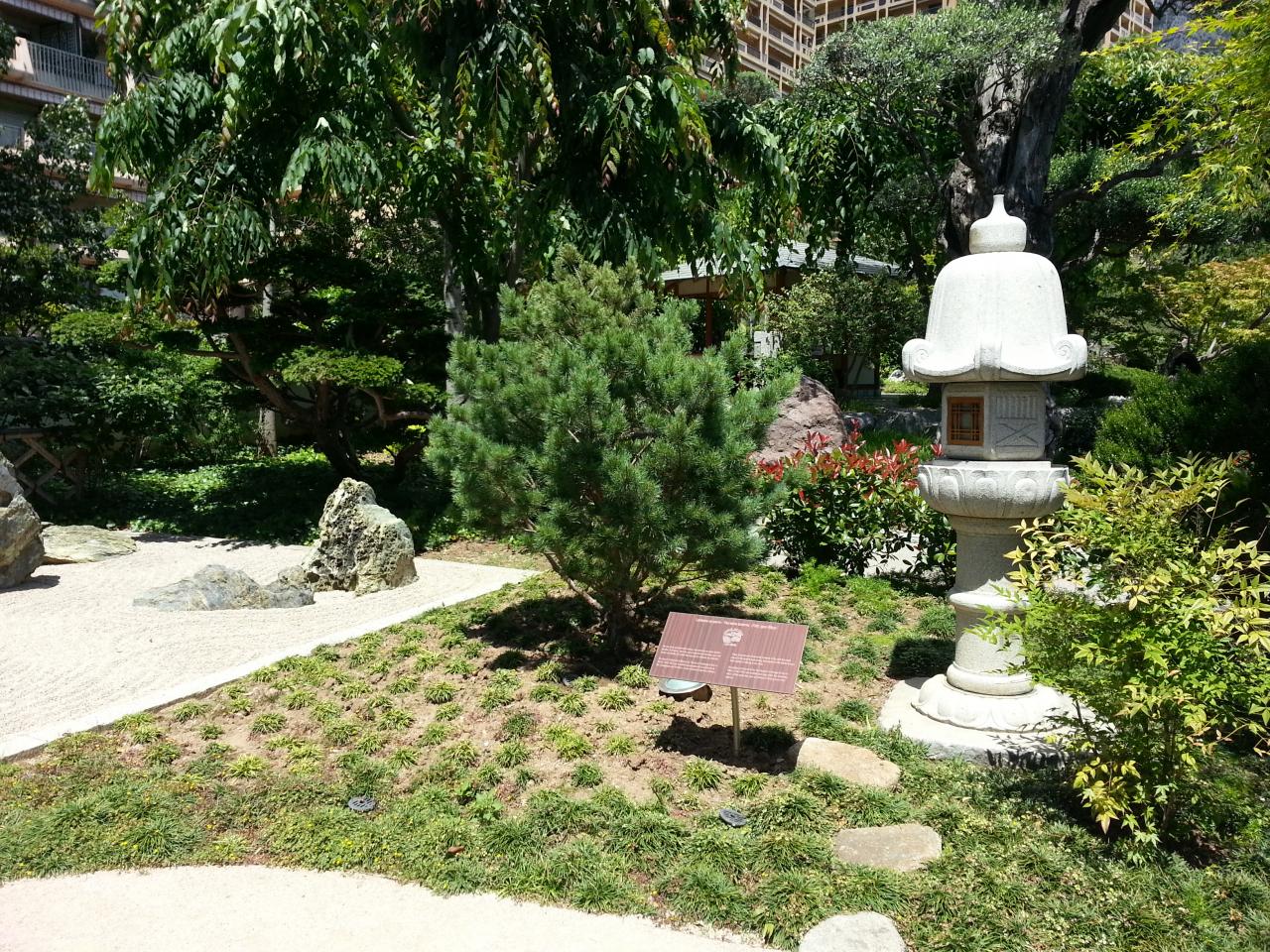 Photo du bonsaï : Jardin zen et lanterne