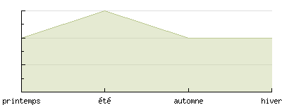 Arrosage du Genvrier de Chine